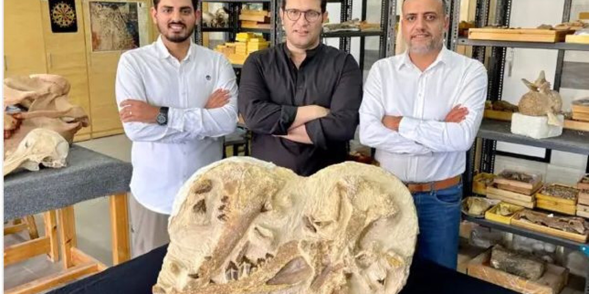 DISCOVERY OF TINY ANCIENT WHALES SHEDS LIGHT ON WHALE EVOLUTION"