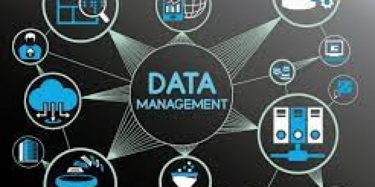 Best Data Management Service Provider In Telangana