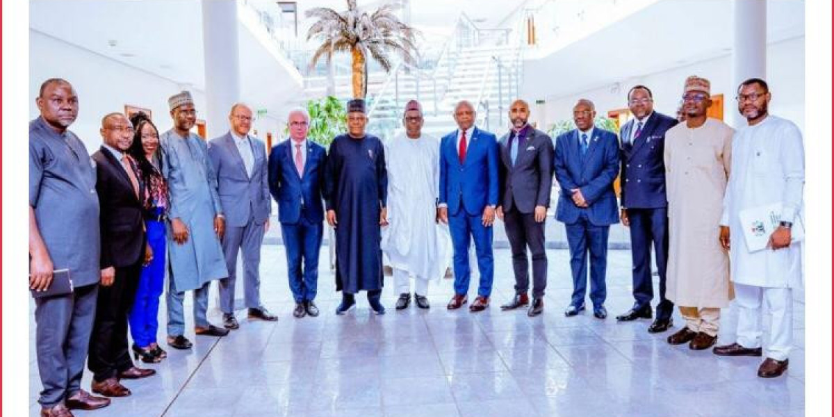 TINUBU ADMINISTRATION'S COMMITMENT TO NIGERIAN HEALTHCARE AND GLOBAL PARTNERSHIPS