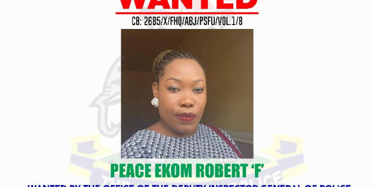 NIGERIA POLICE FORCE PROVIDES CLARITY ON ARREST OF SUSPECTED FRAUDSTER, PEACE EKOM ROBERT, AS INVESTIGATION CONTINUES