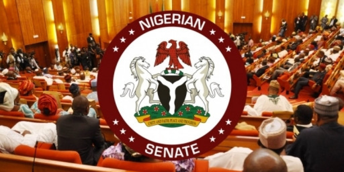 SENATE PROPOSES ELECTORAL ACT AMENDMENTS FOR DIASPORA VOTING AND ELECTRONIC TRANSMISSION OF RESULTS IN 2027 ELECTIONS