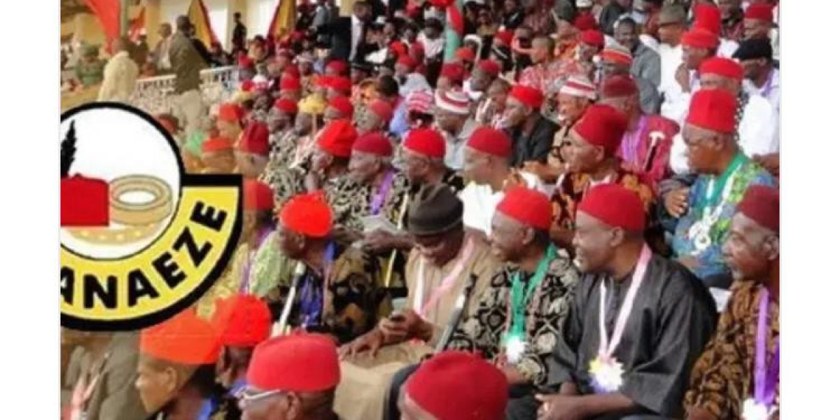 PROMOTING ECONOMIC GROWTH AND SECURITY: IGBO THINK TANK URGES COLLABORATION FOR INFRASTRUCTURE DEVELOPMENT IN IGBO LAND