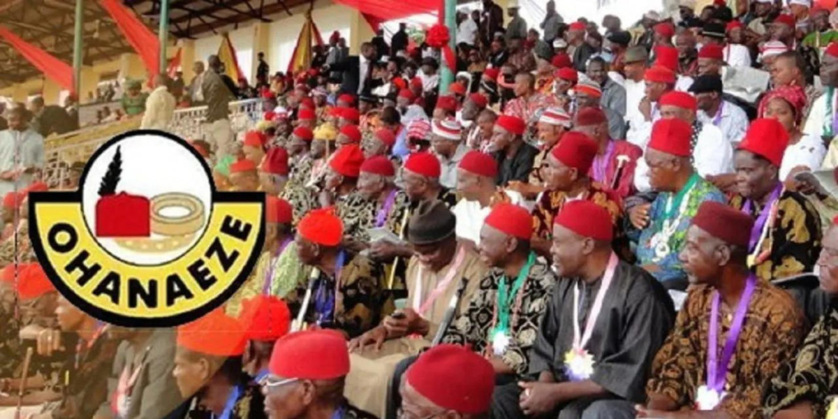 OHANAEZE NDIGBO RESTRUCTURES ORGANIZATION, ESTABLISHES ZONAL CHAPTERS AND INITIATIVES FOR UNITY AND DEVELOPMENT