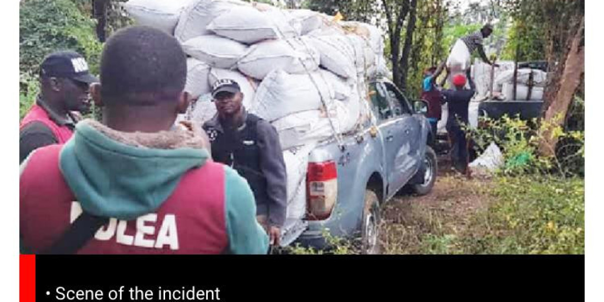 NDLEA FCT COMMAND SEIZES DRUGS WORTH N80 MILLION, ARRESTS 134 SUSPECTS IN ANTI-DRUG TRAFFICKING OPERATION
