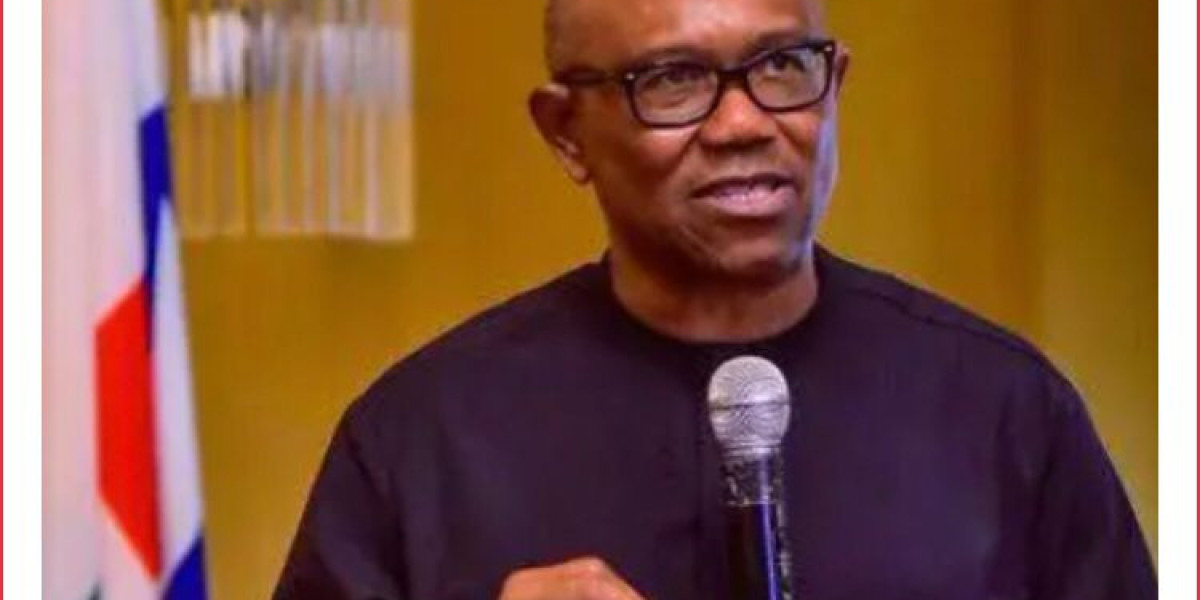 PETER OBI CRITICIZED GOVERNMENT'S PALLIATIVES AS "LIMITED THINKING" AND TEMPORARY SOLUTIONS