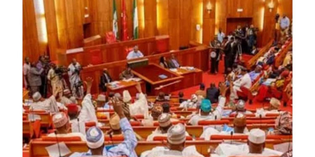 ROWDY SENATE SESSION OVER MINORITY LEADERSHIP APPOINTMENTS