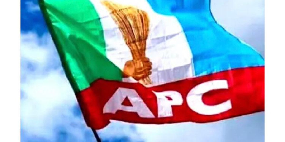 APC PROFESSIONALS COUNCIL URGES SUPPORT FOR PARTY CANDIDATES IN UPCOMING GOVERNORSHIP ELECTIONS