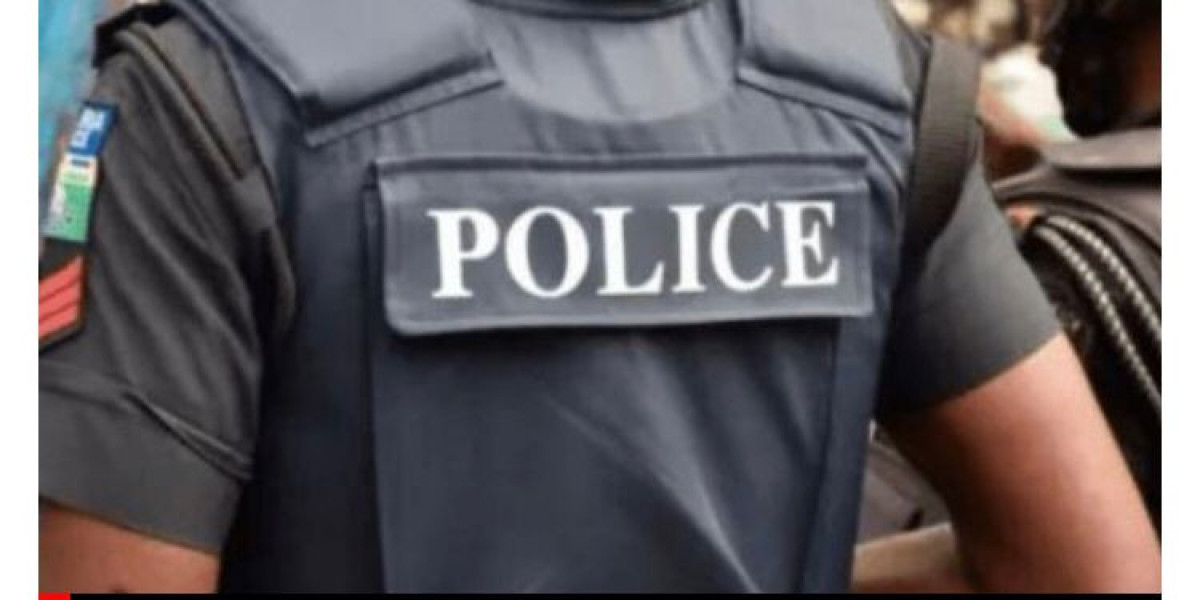 ARRESTS MADE IN OGUN STATE: CRACKDOWN ON SUSPECTED CULTISTS