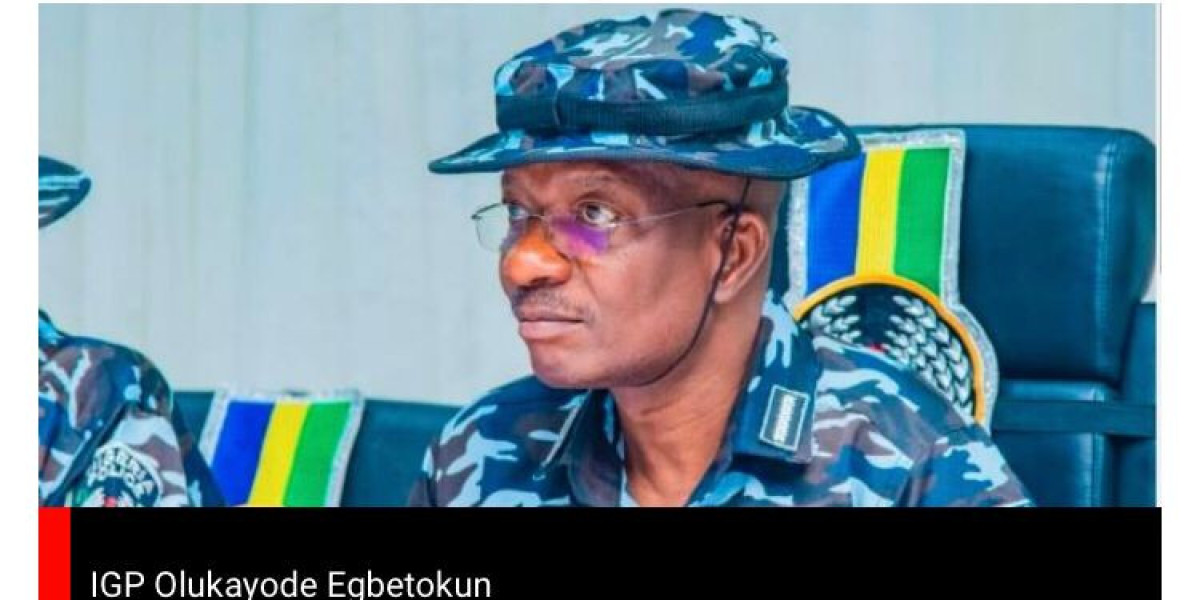 CHALLENGES AND SOLUTIONS: THE NIGERIA POLICE FORCE'S CALL FOR RESOURCES AND REFORM