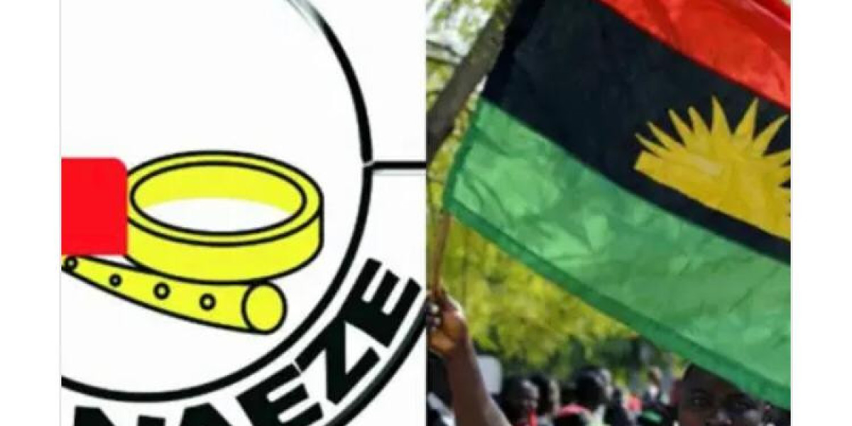 Ohanaeze Ndigbo Youth WING URGES ACTIVE PARTICIPATION IN IMO ELECTION, REJECTS IPOB's BOYCOTT CALL