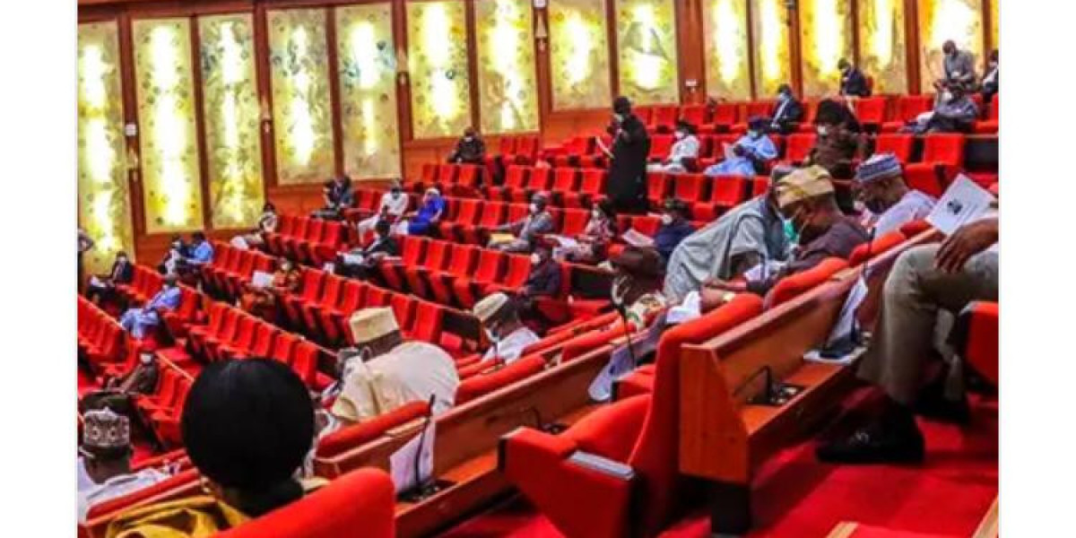 SENATE CALLS FOR URGENT ACTION ON CYBERSECURITY TO SAFEGUARD NIGERIA'S ECONOMY