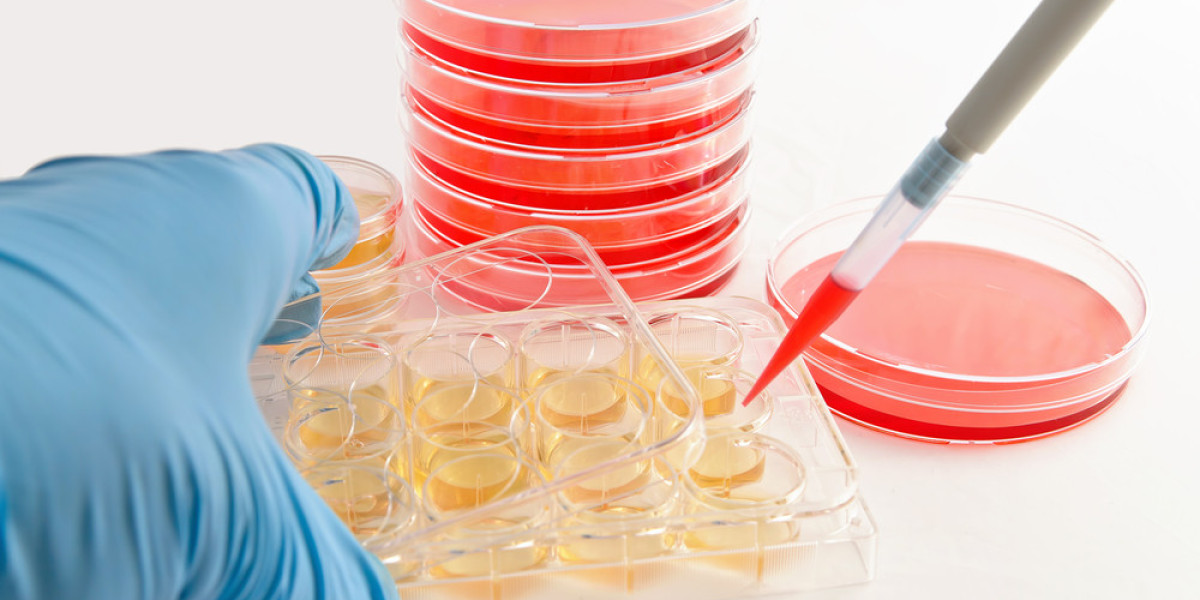 Automated Cell Culture Market Share to Witness Steady Rise in the Coming Years