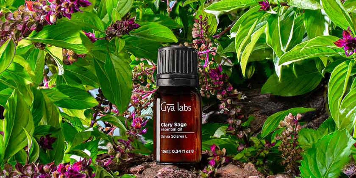 Where to Buy High Quality Clary Sage Essential Oil?