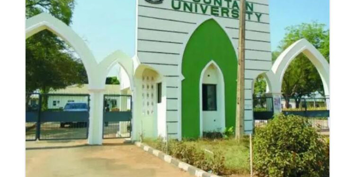 PROFESSOR OLAYINKA KAREEM'S PERSPECTIVE ON NIGERIAN UNIVERSITIES AND THE BAN ON FAKE FOREIGN UNIVERSITIES