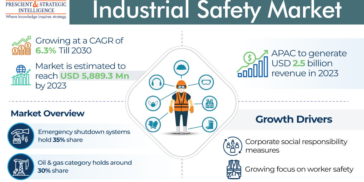 Guardians of Industry: Navigating the Industrial Safety Market Landscape