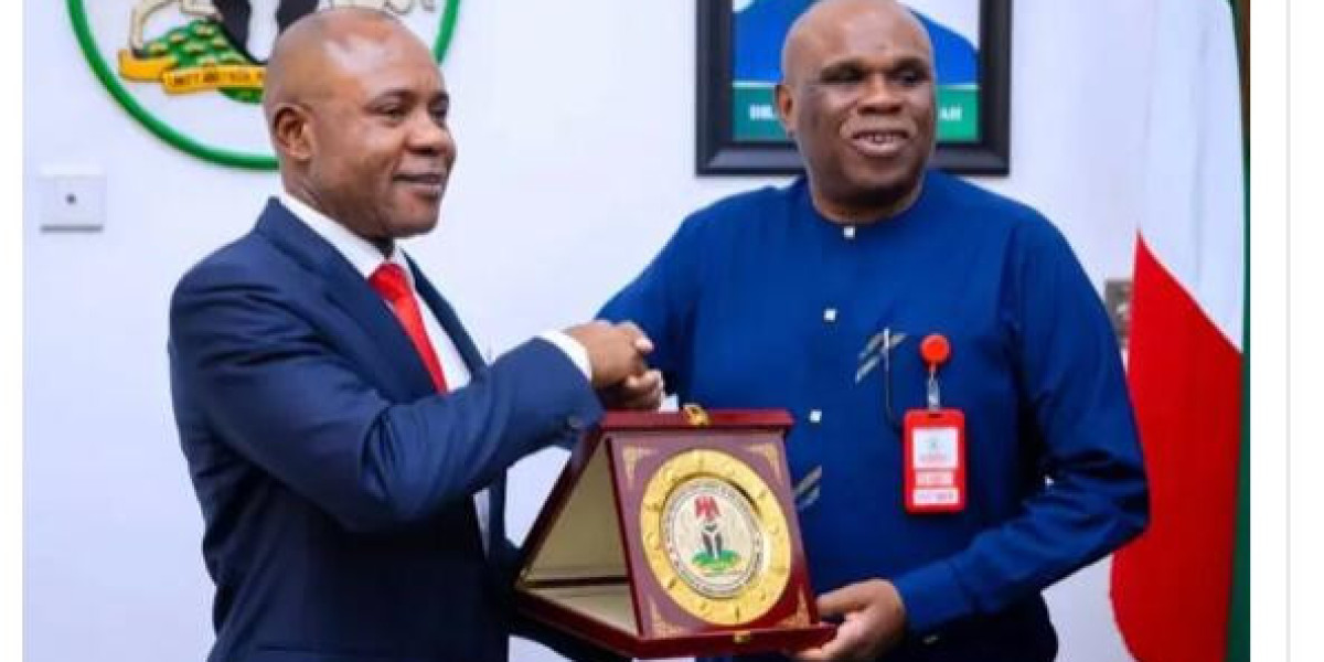 PARTNERSHIP BETWEEN ENUGU STATE GOVERNMENT AND AFREXIMBANK: A MODEL FOR DEVELOPMENT SUPPORT