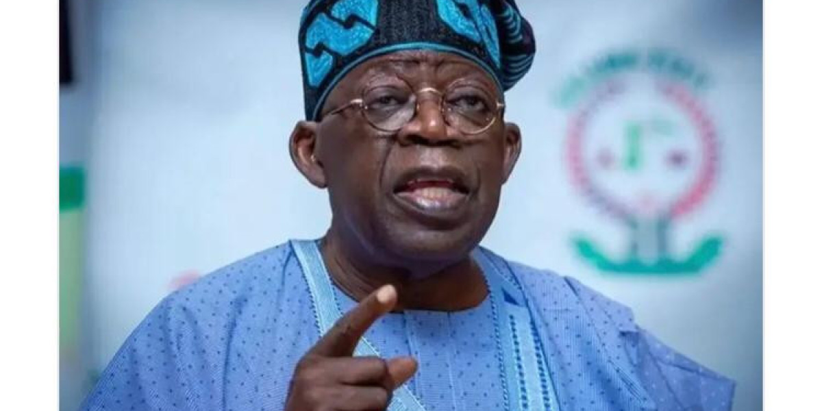 PRESIDENT TINUBU'S AUTOMATED PASSPORTS PORTAL RECEIVES PRAISE AND HIGH EXPECTATIONS