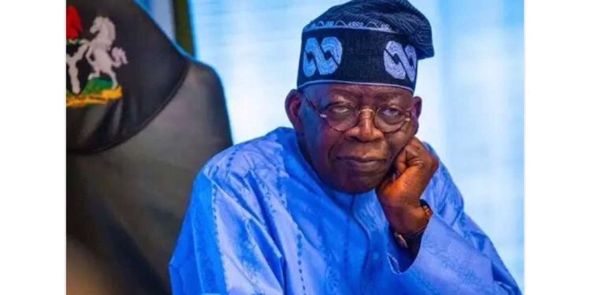 REACTIONS TO PRESIDENT TINUBU'S GOVERNMENT SPENDING REDUCTION MEASURES IN NIGERIA