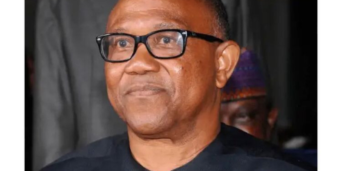 Peter Obi Advocates for Nigerian Nurses' Global Employment Opportunities