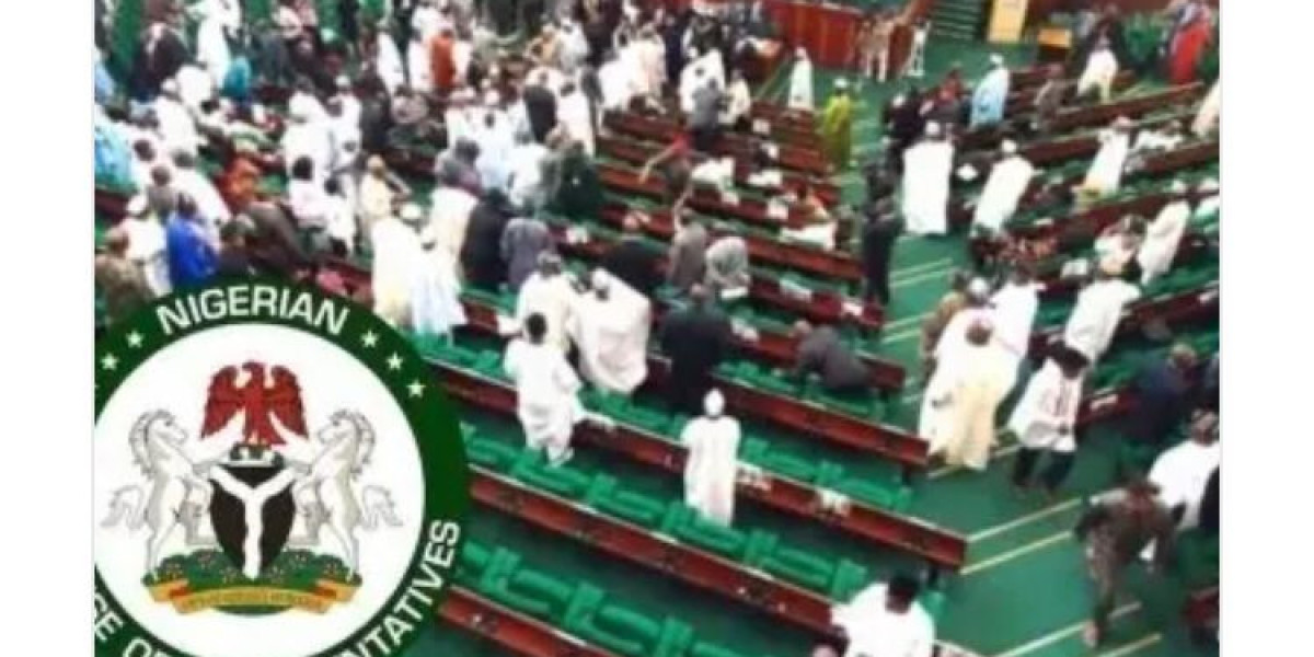 House of Representatives Commends NECO for Suspending 2024 Staff Promotion Examination