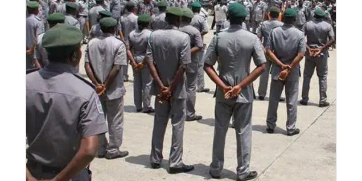 Customs Intercepts 15 Trucks of Food Items in Sokoto State to Curb Smuggling