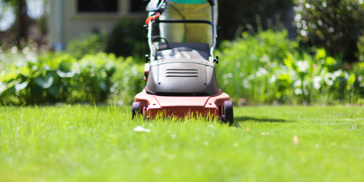 Consumer Preferences and Buying Behavior in the Powered Lawn Mowers Market