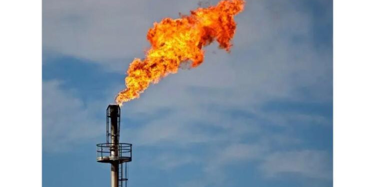 US PLEDGES COLLABORATION WITH NIGERIA TO ADDRESS GAS FLARING AND CLIMATE CHANGE