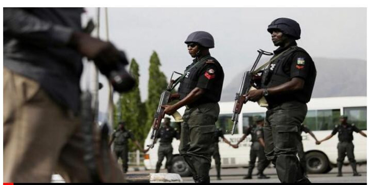 Beninois Farmer Arrested for Alleged Assault on 70-Year-Old Community Leader in Osun State