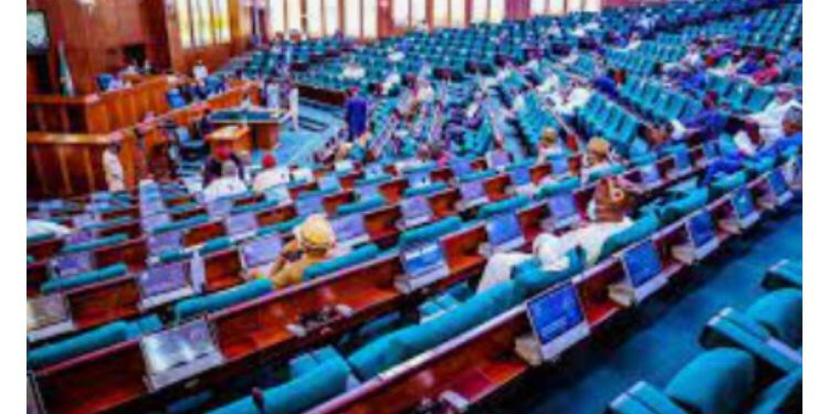 Nigerian House of Representatives Launches Probe into CBN's $2.4 Billion Forward Contracts Cancellation