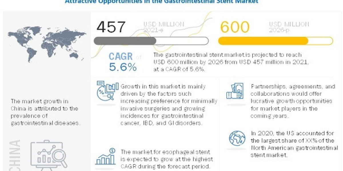 Gastrointestinal Stent Market 2026 Forecasts Company Profile, Product Specifications and Capacity