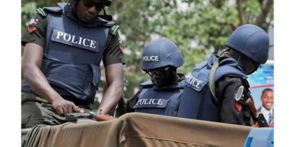 Navigating Police Reform: The Promise and Challenges of Implementing State Police in Nigeria