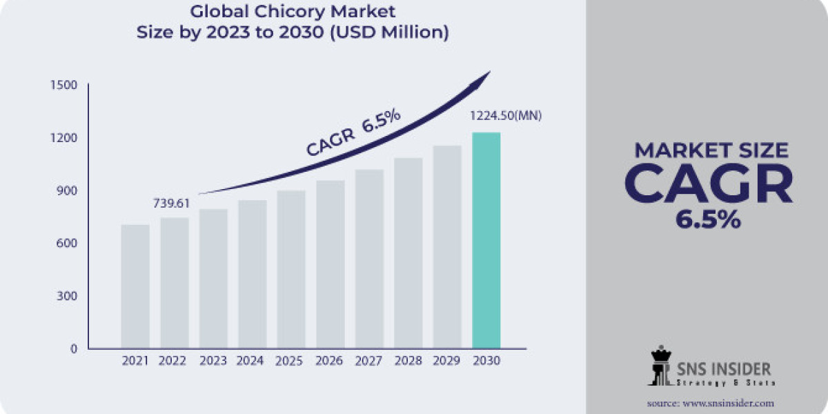 Chicory Market Segmentation, Revenue and Strategy 2031
