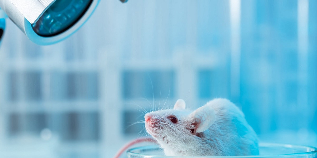 Insights into the Future: Mice Model Market Outlook