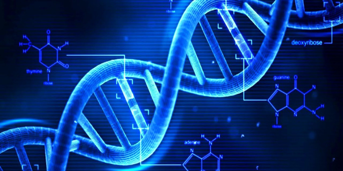 Global DNA Forensics Market Share Prognosticated To Perceive A Thriving Growth