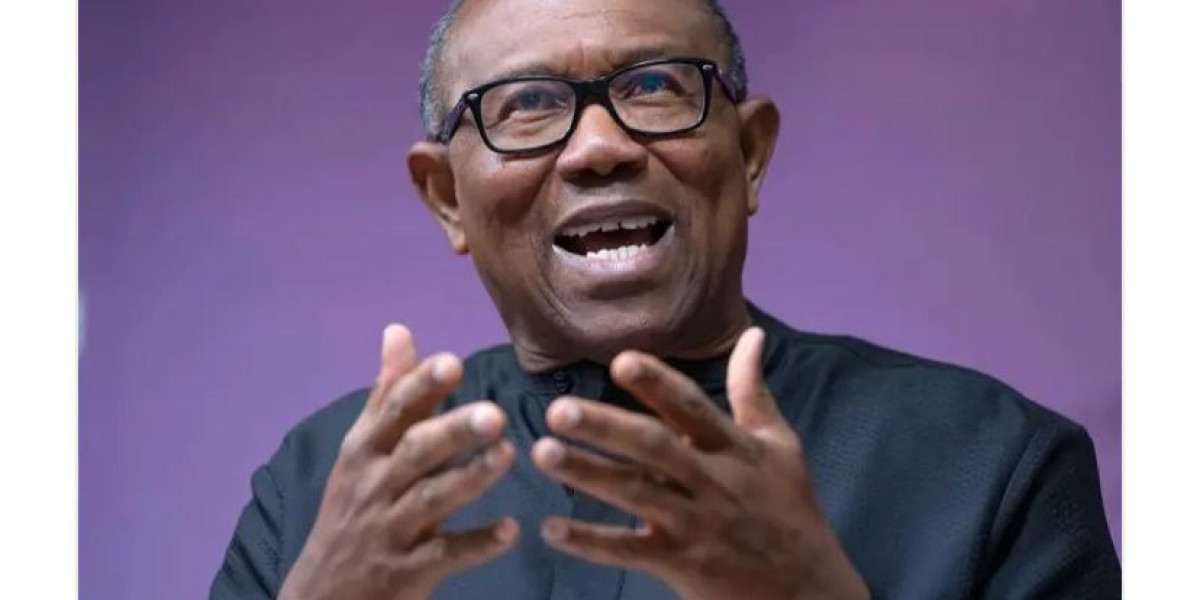 Political Speculation Swirls: Peter Obi and Nasir El-Rufai Potentially Shifting Allegiances