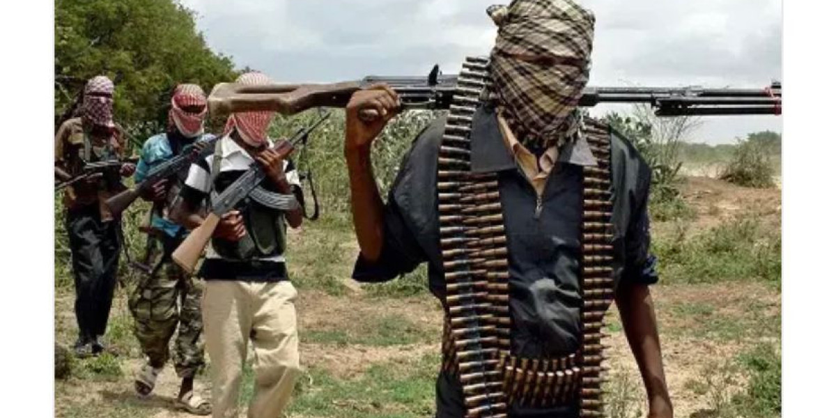 Escalating Bandit Attacks: Urgent Call for Government Intervention in Katsina State