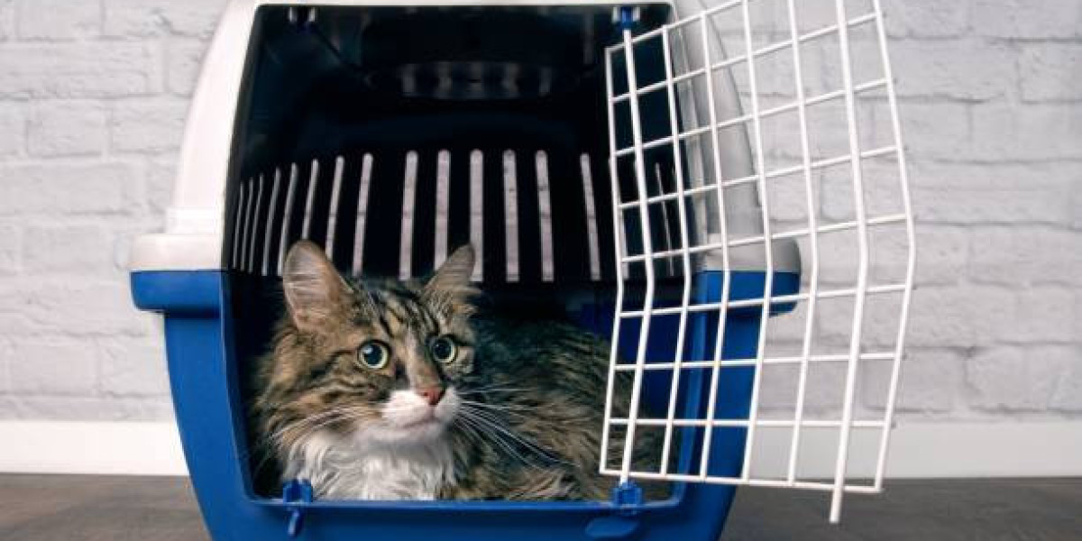 Pet Carriers Market Will Generate Massive Revenue In Future – A Comprehensive Study On Key Players 2030