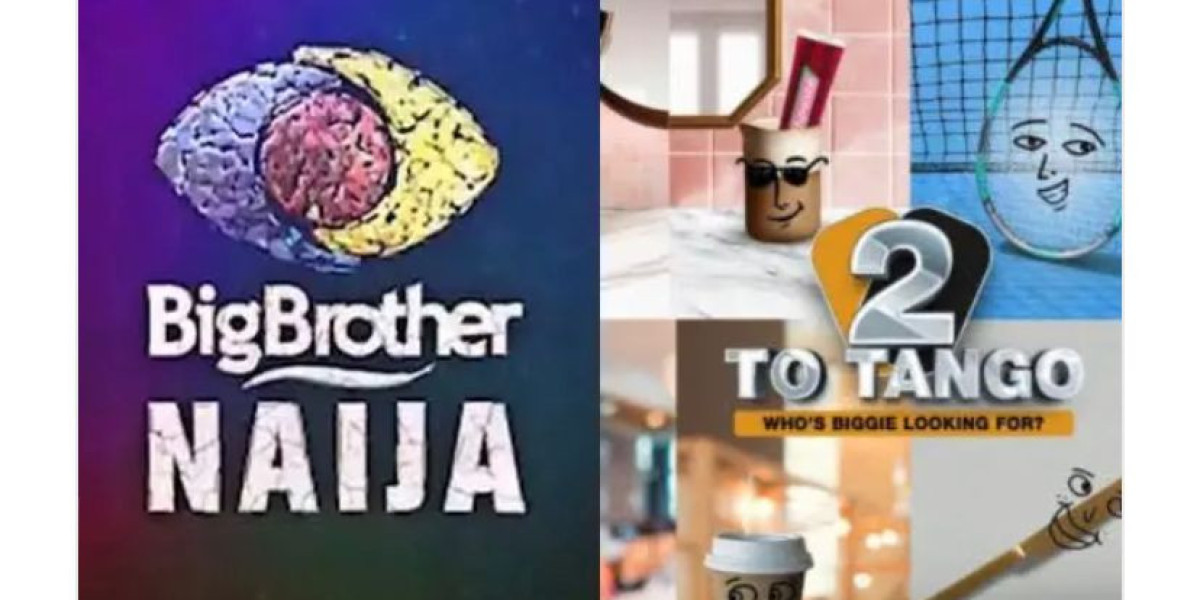 Big Brother Naija Season 9 Introduces Dynamic Duo Auditions: How to Apply