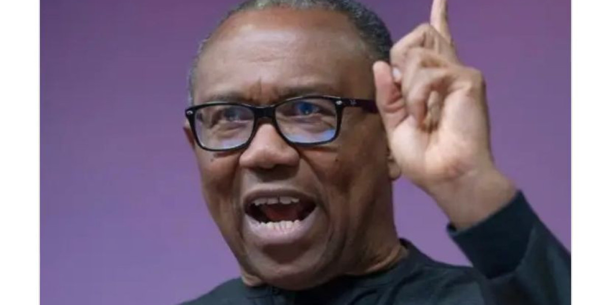 Peter Obi Calls for Urgent Review of 2024 Budget to Tackle Nigeria's Critical Issues