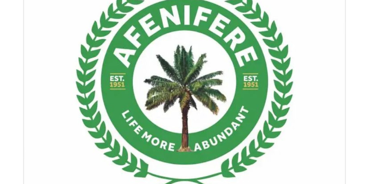 Afenifere Condemns Insecurity, Calls for Urgent Action, While Senate Leader Vows Economic Stability Efforts