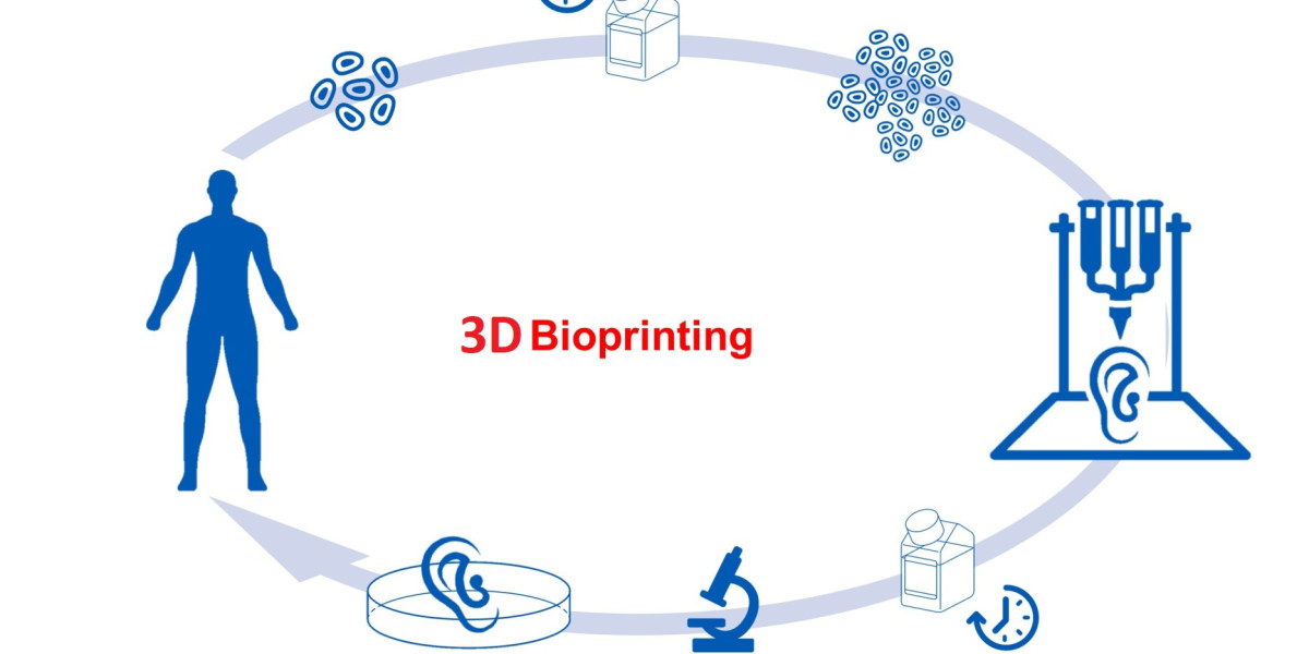 Global 3D Bioprinting Market Share To Expand At A Notable CAGR Of 15.40% During (2023-2030)