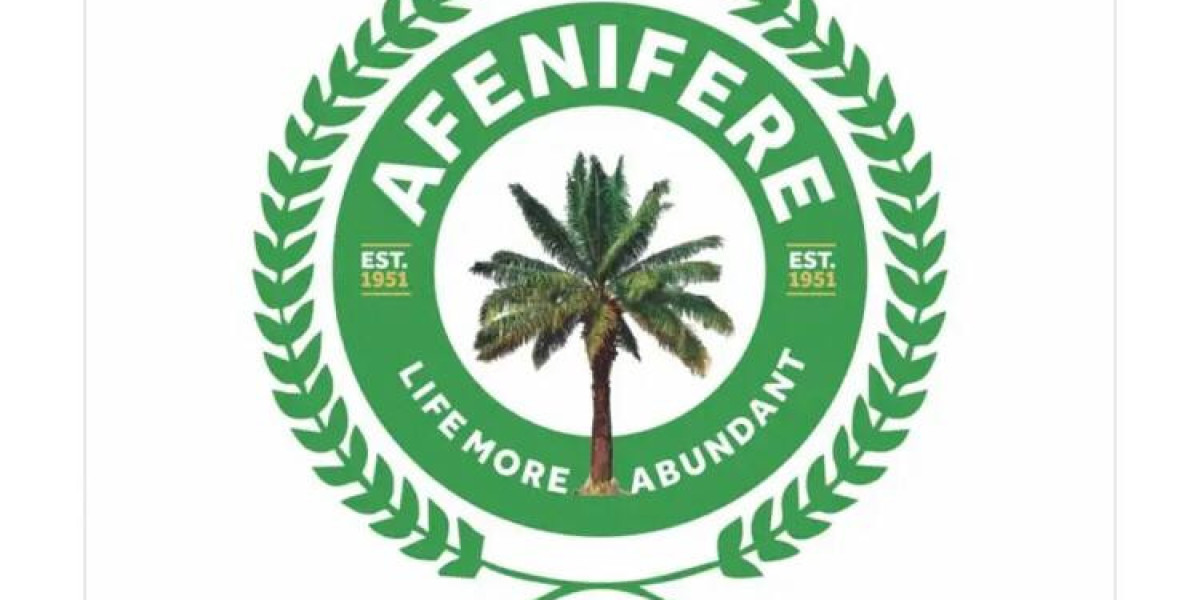 Afenifere Advocates for Parliamentary System in Nigeria: A Blueprint for Restructuring