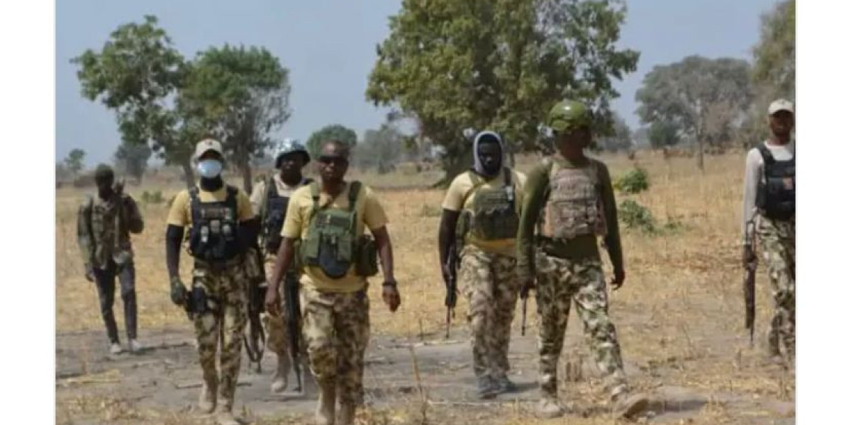 Nigerian Army's Successful Clearance Operations in Borno State: Elimination of Terrorists and Rescue of Hostages