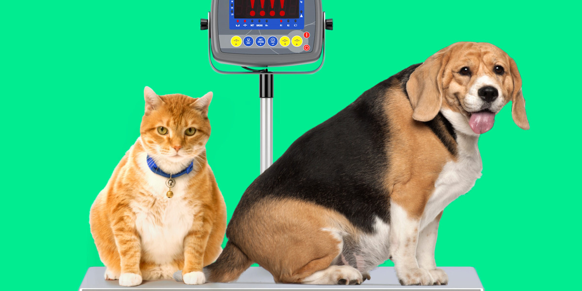Pet Obesity Market Share & Size 2023–2032 with Latest Industry Trends