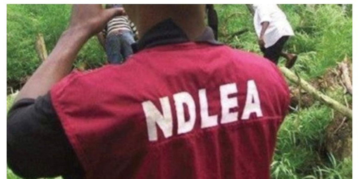 NDLEA Uncovers Drugs Concealed in Vehicle Parts: Heightened Vigilance Urged