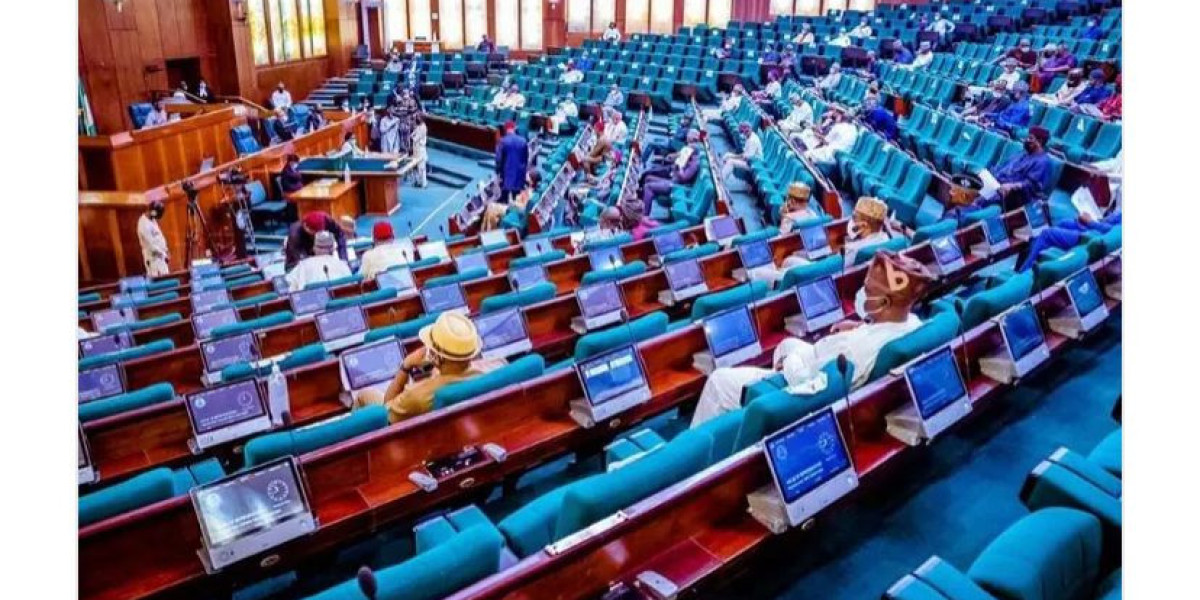 Labour Party Condemns House of Representatives Members' Conduct Ahead of National Convention