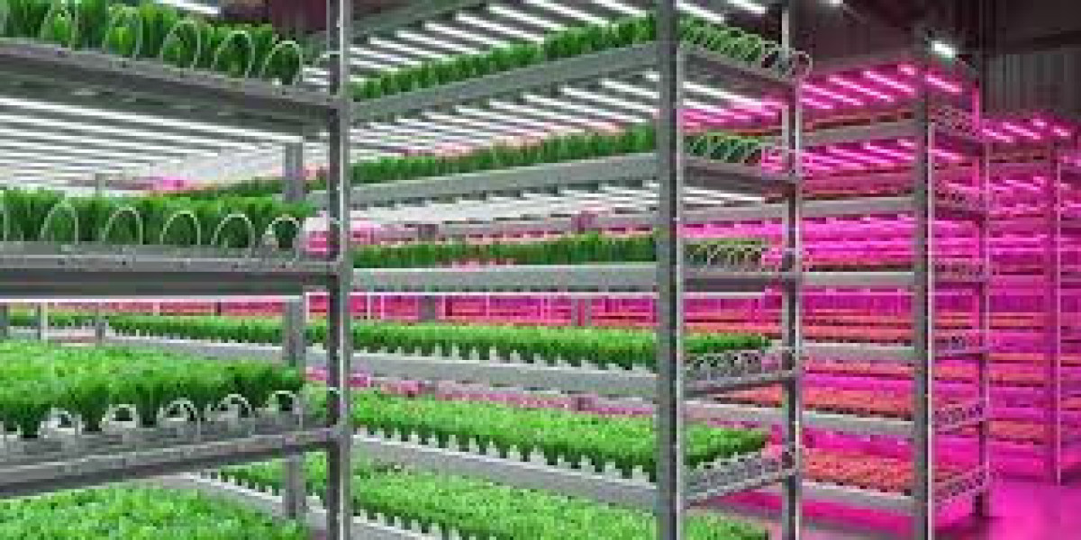 Horticulture Lighting Market: Trends, Research, Analysis & Review Forecast 2032