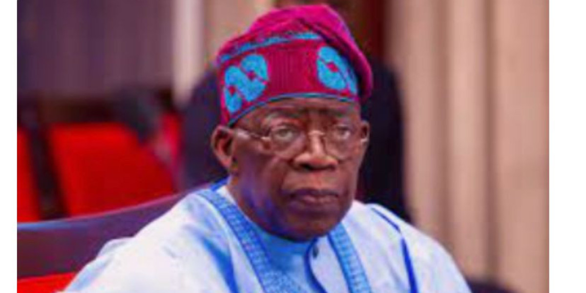 President Tinubu Affirms Nigeria's Commitment to Sustainable Development and Democratic Principles