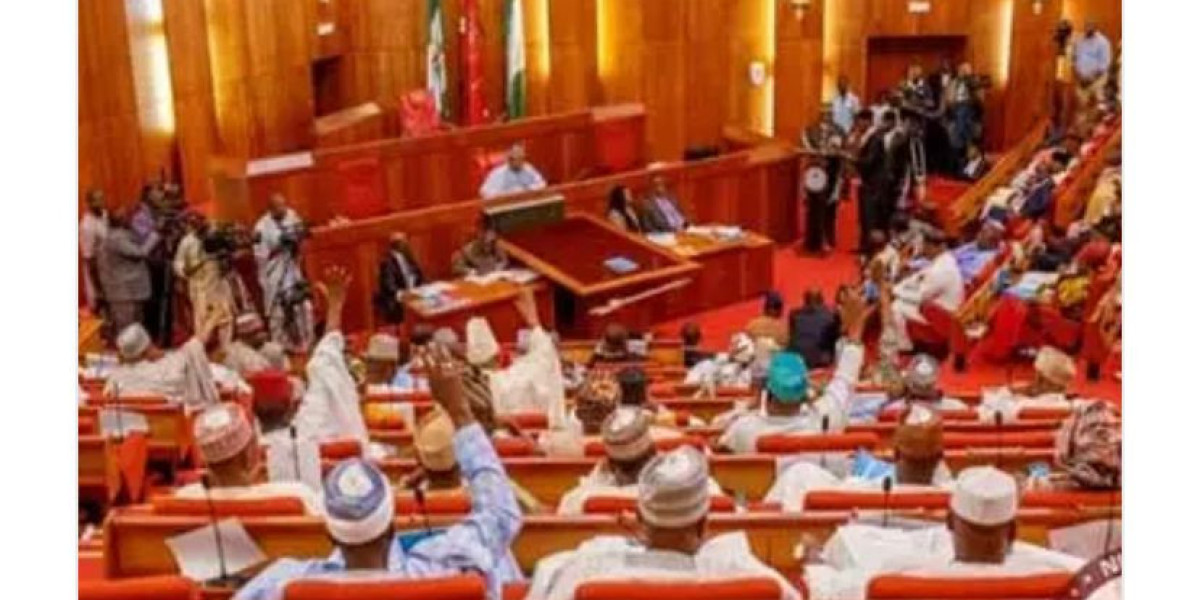 Arewa Movement for Good Governance Raises Alarm Over National Assembly Failures