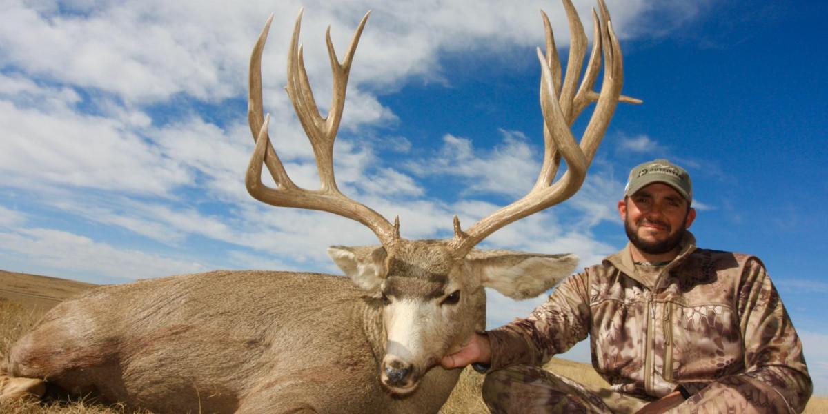 Exploring the Thrilling World of Trophy Whitetail Bucks Hunting Outfitters in Illinois